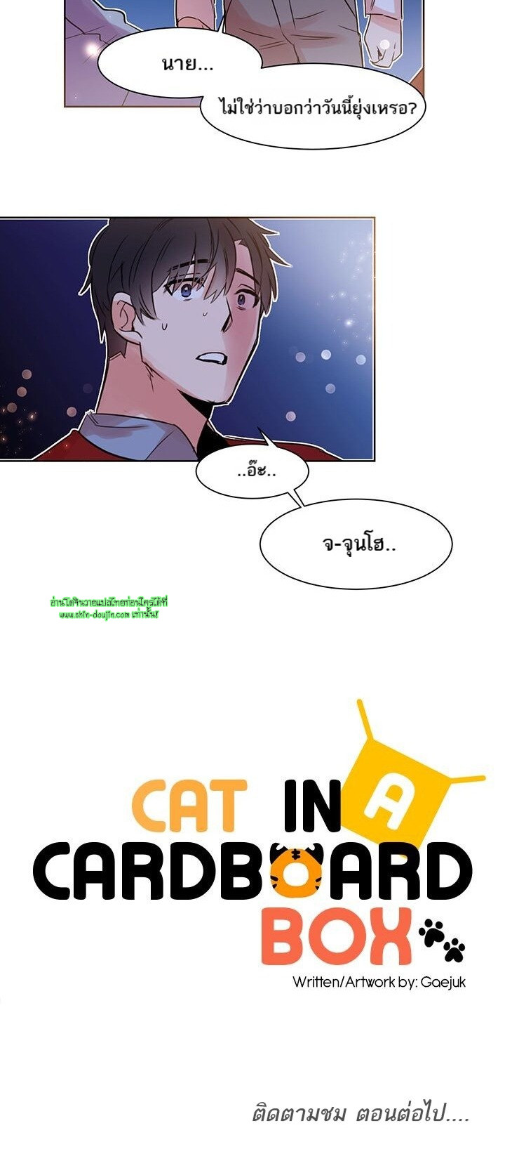 Cat in a Cardboard Box EP 10